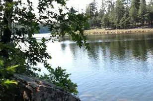 3910 Larson Loop, Forest Lakes, AZ 85931 - Photo 56