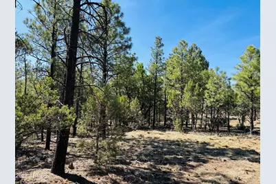 2640 Spoonbill Drive, Happy Jack, AZ 86024 - Photo 96