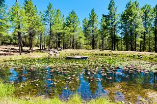 2640 Spoonbill Dr, Happy Jack, AZ 86024 - Photo 2