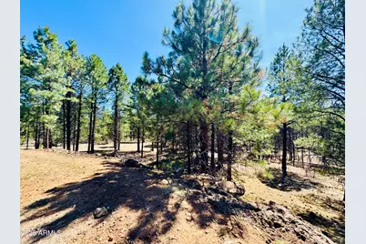 2640 Spoonbill Drive, Happy Jack, AZ 86024 - Photo 94