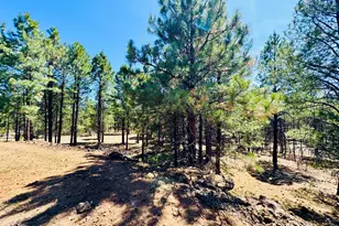 2640 Spoonbill Dr, Happy Jack, AZ 86024 - Photo 94