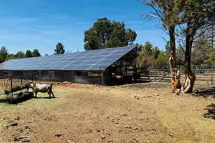 2640 Spoonbill Dr, Happy Jack, AZ 86024 - Photo 76