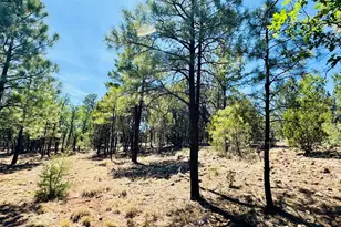 2640 Spoonbill Dr, Happy Jack, AZ 86024 - Photo 64