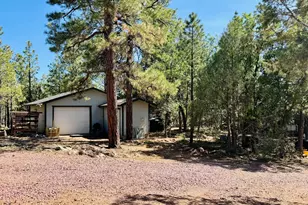 2640 Spoonbill Dr, Happy Jack, AZ 86024 - Photo 12