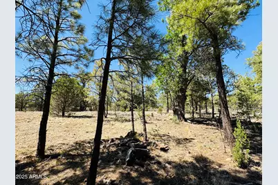 2640 Spoonbill Drive, Happy Jack, AZ 86024 - Photo 66