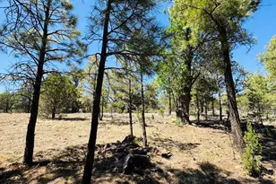 2640 Spoonbill Dr, Happy Jack, AZ 86024 - Photo 66