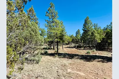 2640 Spoonbill Drive, Happy Jack, AZ 86024 - Photo 98