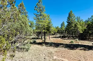 2640 Spoonbill Dr, Happy Jack, AZ 86024 - Photo 98