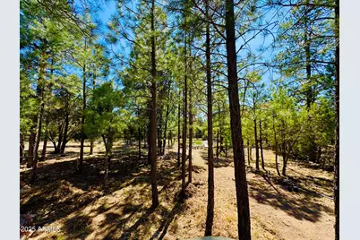 2640 Spoonbill Drive, Happy Jack, AZ 86024 - Photo 24