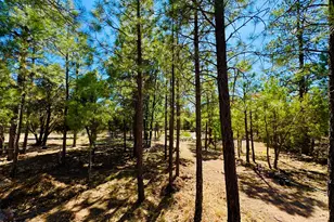 2640 Spoonbill Dr, Happy Jack, AZ 86024 - Photo 24