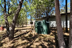 2640 Spoonbill Dr, Happy Jack, AZ 86024 - Photo 82