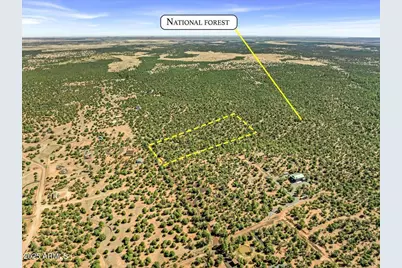 - Tbd -- #-, Clay Springs, AZ 85923 - Photo 24