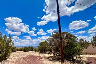 52 Acr 8010 --, Concho, AZ 85924 - Photo 30