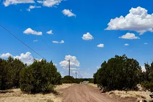 52 Acr 8010 --, Concho, AZ 85924 - Photo 6