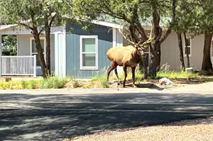 604 E Bonita St, Payson, AZ 85541 - Photo 1