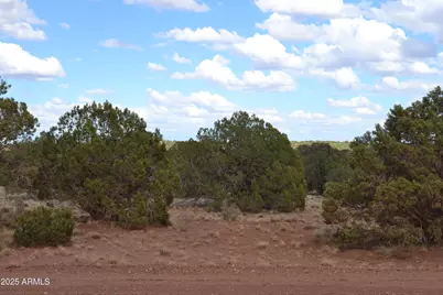 4161 Colt Road #273, Snowflake, AZ 85937 - Photo 4