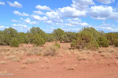 4161 Colt Road #273, Snowflake, AZ 85937 - Photo 2