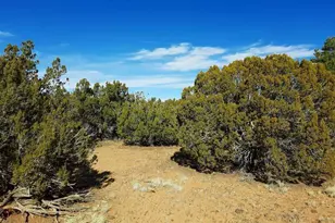 4 Parcels N Shady Oak 404-69-005 /10+acres --, Show Low, AZ 85901 - Photo 1