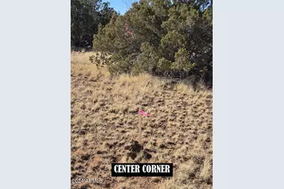 4 Parcels N Shady Oak 404-69-005 /10+acres -- #C, Show Low, AZ 85901 - Photo 12