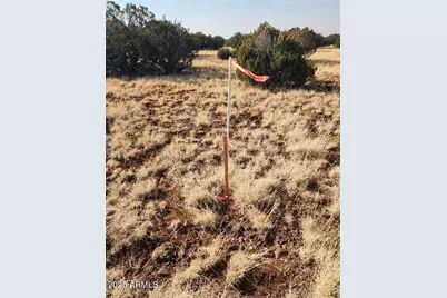 4 Parcels N Shady Oak 404-69-005 /10+acres -- #E, Show Low, AZ 85901 - Photo 10