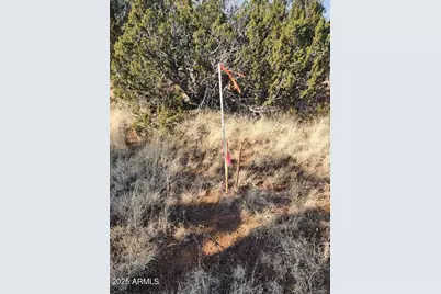 4 Parcels N Shady Oak 404-69-005 /10+acres -- #E, Show Low, AZ 85901 - Photo 8