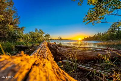 4 Parcels N Shady Oak 404-69-005 /10+acres -- #E, Show Low, AZ 85901 - Photo 26