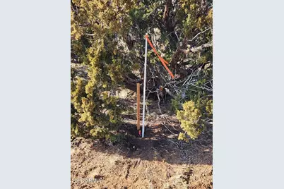 4 Parcels N Shady Oak 404-69-005 /10+acres -- #F, Show Low, AZ 85901 - Photo 14