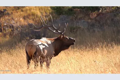 4 Parcels N Shady Oak 404-69-005 /10+acres -- #F, Show Low, AZ 85901 - Photo 24