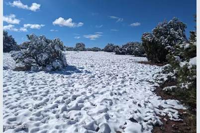 4 Parcels N Shady Oak 404-69-005 /10+acres -- #F, Show Low, AZ 85901 - Photo 18