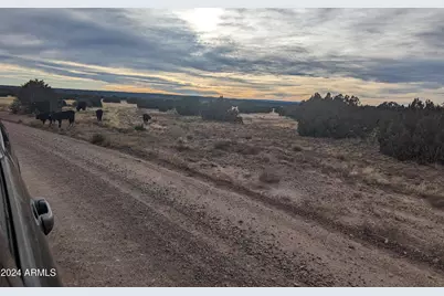 4 Parcels N Shady Oak 404-69-005 /10+acres -- #F, Show Low, AZ 85901 - Photo 22
