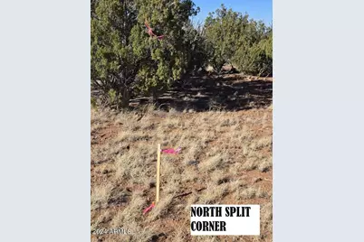 4 Parcels N Shady Oak 404-69-005 /10+acres -- #F, Show Low, AZ 85901 - Photo 16