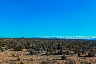 5823 Cattle Guard Rd 21 41 Acres --, Williams, AZ 86046 - Photo 40