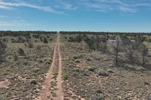 5823 Cattle Guard Rd 21 41 Acres --, Williams, AZ 86046 - Photo 48