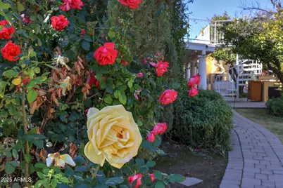 3816 E Minton Place, Mesa, AZ 85215 - Photo 96