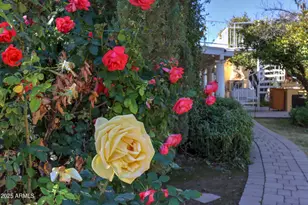 3816 E Minton Pl, Mesa, AZ 85215 - Photo 96