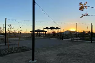 1151 E Peach Tree Dr, Chandler, AZ 85249 - Photo 26