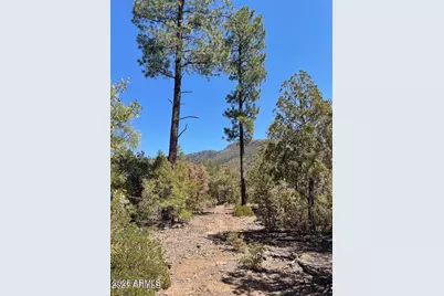0 Fawn Drive #5, Pine, AZ 85544 - Photo 66