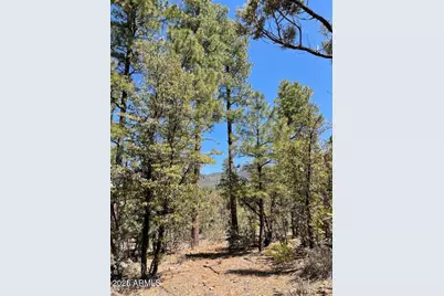 0 Fawn Drive #5, Pine, AZ 85544 - Photo 68