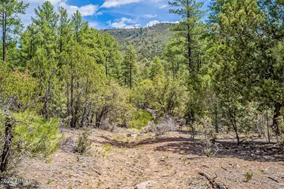 0 Fawn Drive #5, Pine, AZ 85544 - Photo 10