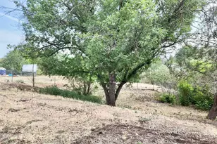 647 S Moonlight Dr, Payson, AZ 85541 - Photo 50