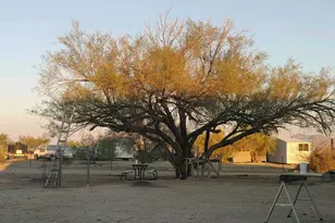 65623 Hall St, Salome, AZ 85348 - Photo 6