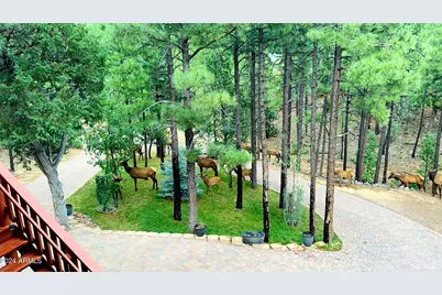 2020 S Pleasant View Drive, Show Low, AZ 85901 - Photo 48