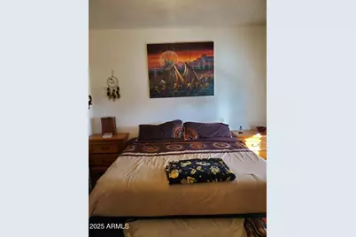 850 E 17th Street, Douglas, AZ 85607 - Photo 8