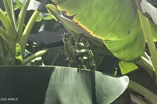 4018 E Harrison St, Gilbert, AZ 85295 - Photo 14