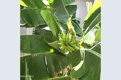 4018 E Harrison Street, Gilbert, AZ 85295 - Photo 40