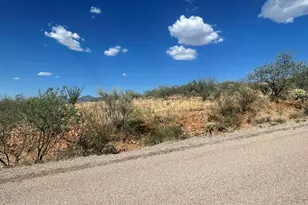 50 Calle Dinamarca --, Rio Rico, AZ 85648 - Photo 1