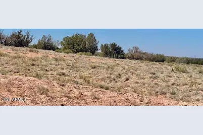 Tbd Chevelon Canyon Ranch 363 -- #363, Heber, AZ 85928 - Photo 1