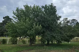 2155 E Chisholm Trail, Flagstaff, AZ 86005 - Photo 32