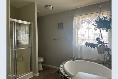 28707 N 205th Drive, Wittmann, AZ 85361 - Photo 12
