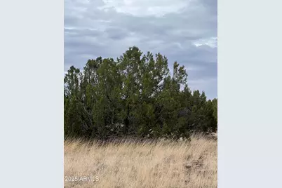 8754 Clark Road #-, Show Low, AZ 85901 - Photo 2